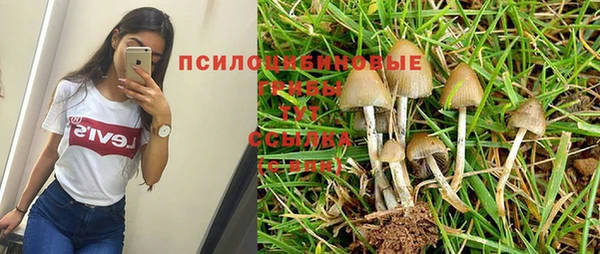 крисы Алексеевка