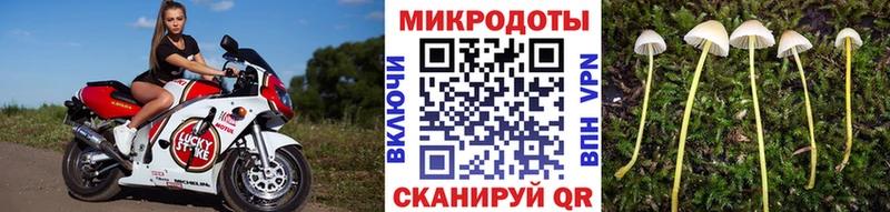Псилоцибиновые грибы Psilocybine cubensis  Александровское 